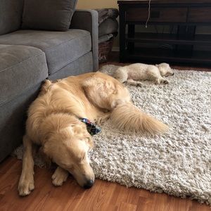 Meet your Posher, Sabrina